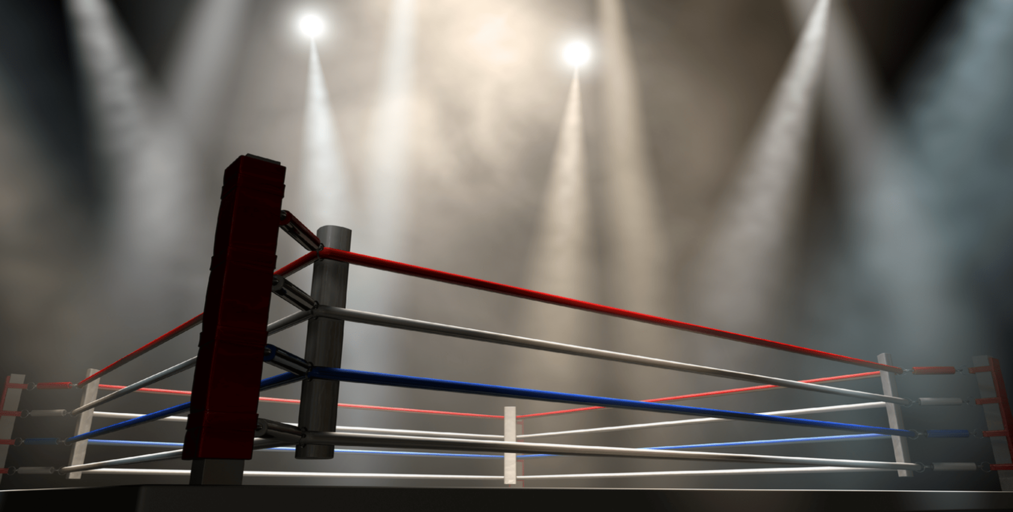 Stepping Into The Boxing Ring For Charity