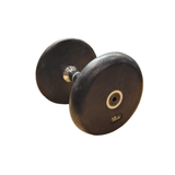 10lbs Pro Style Rubber Dumbbell CLEARANCE-Dumbbells-Flaman Fitness-1