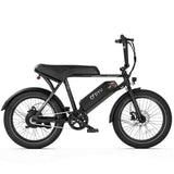 DYU BMX Street 20 Fat Tire E-Bike