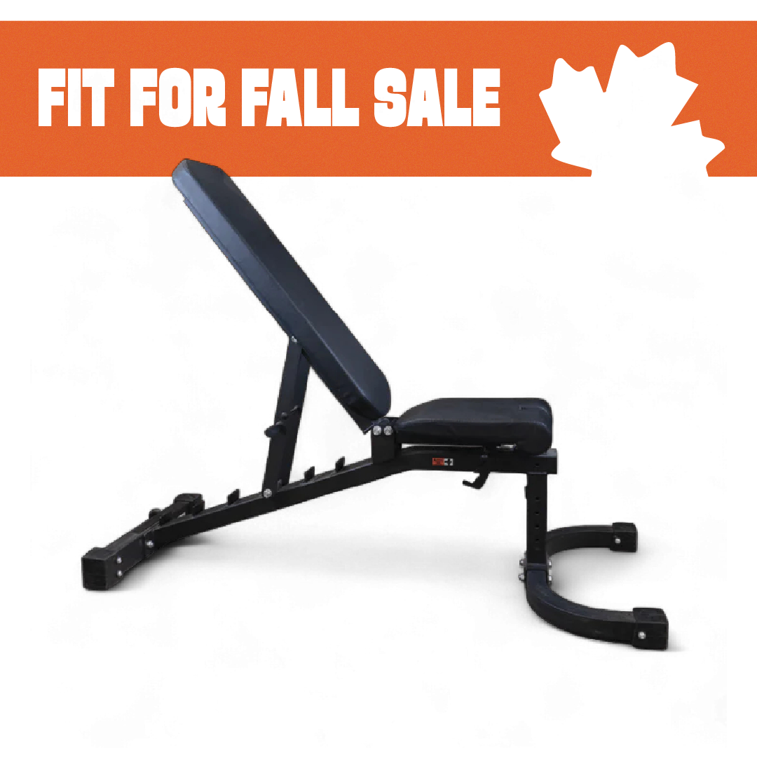 Progression Fitness Multi-Purpose FID Bench