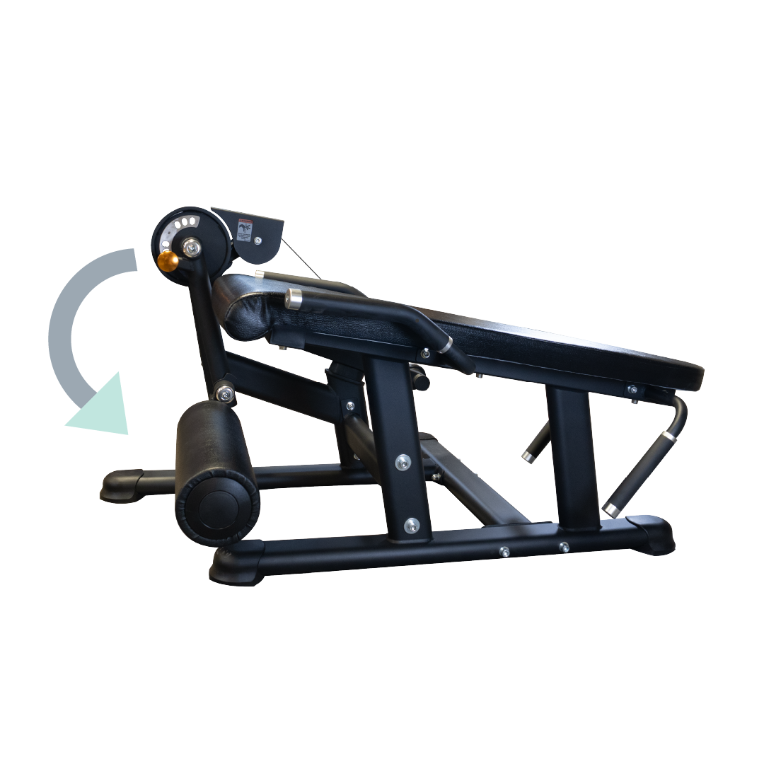 Progression Fitness Prone Leg Curl/Ext (2025)