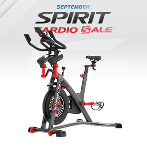 Schwinn IC4 Spin Bike
