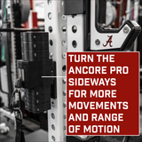 Ancore Pro Plus- 65lb with Strap Mount