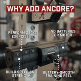 Ancore Pro Plus- 65lb with Strap Mount