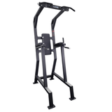 Progression Fitness 315 Vertical Knee Raise w/chinup-VKR-Progression Fitness-1