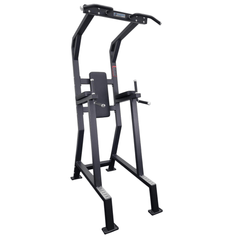 Progression Fitness 315 Vertical Knee Raise w/chinup-VKR-Progression Fitness-1