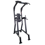 Progression Fitness 315 Vertical Knee Raise w/chinup