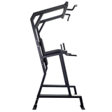 Progression Fitness 315 Vertical Knee Raise w/chinup