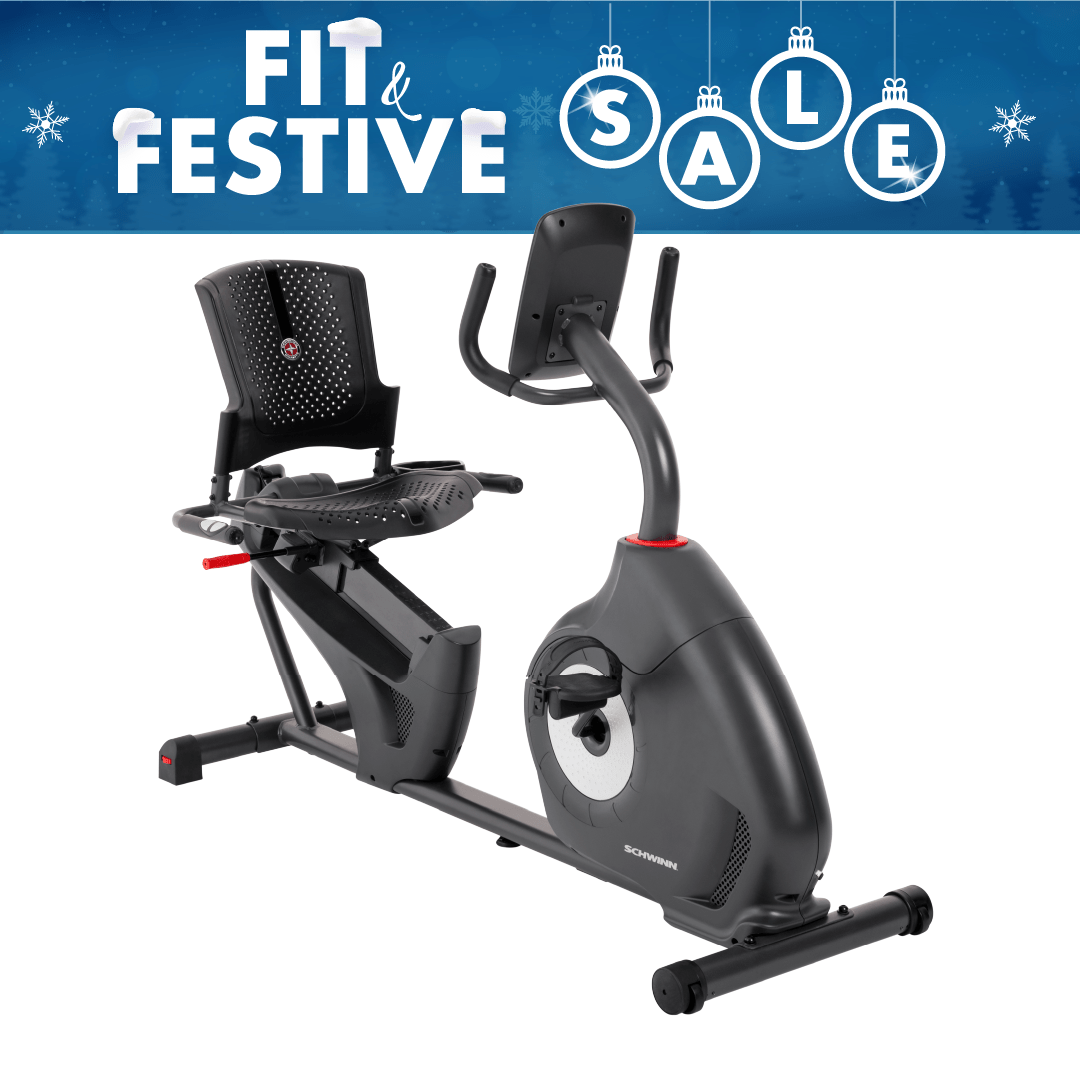 Schwinn 210p recumbent bike on sale