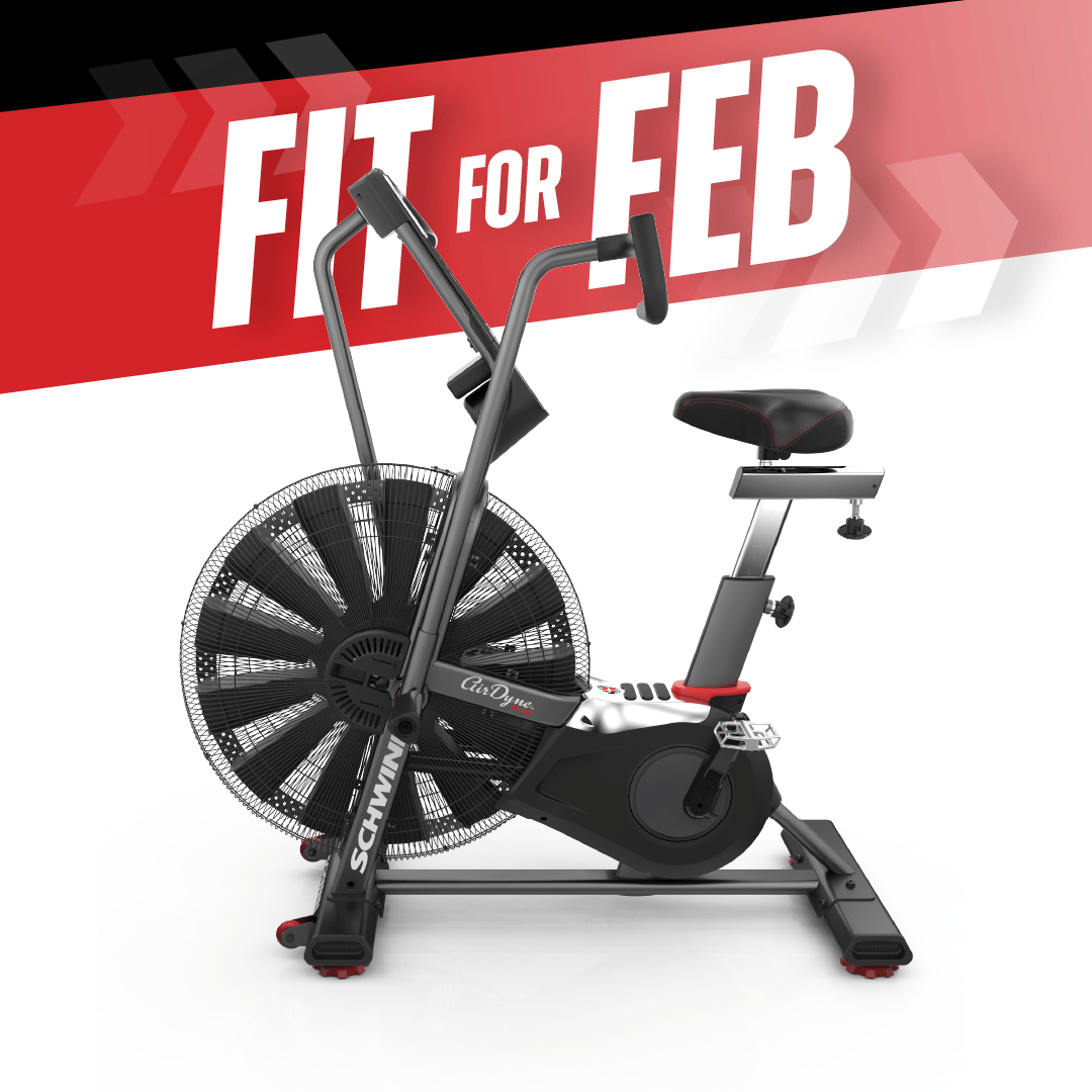 Schwinn Airdyne AD7