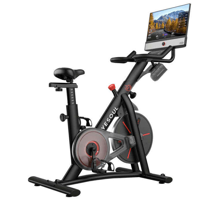 Stationary Bike Spin Bike Flaman Fitness Schwinn Best Affordable