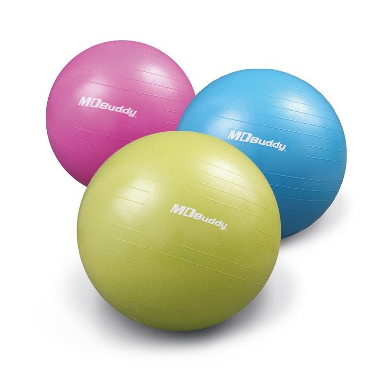 Flaman Fitness  MD Buddy Anti-Burst Stability Ball