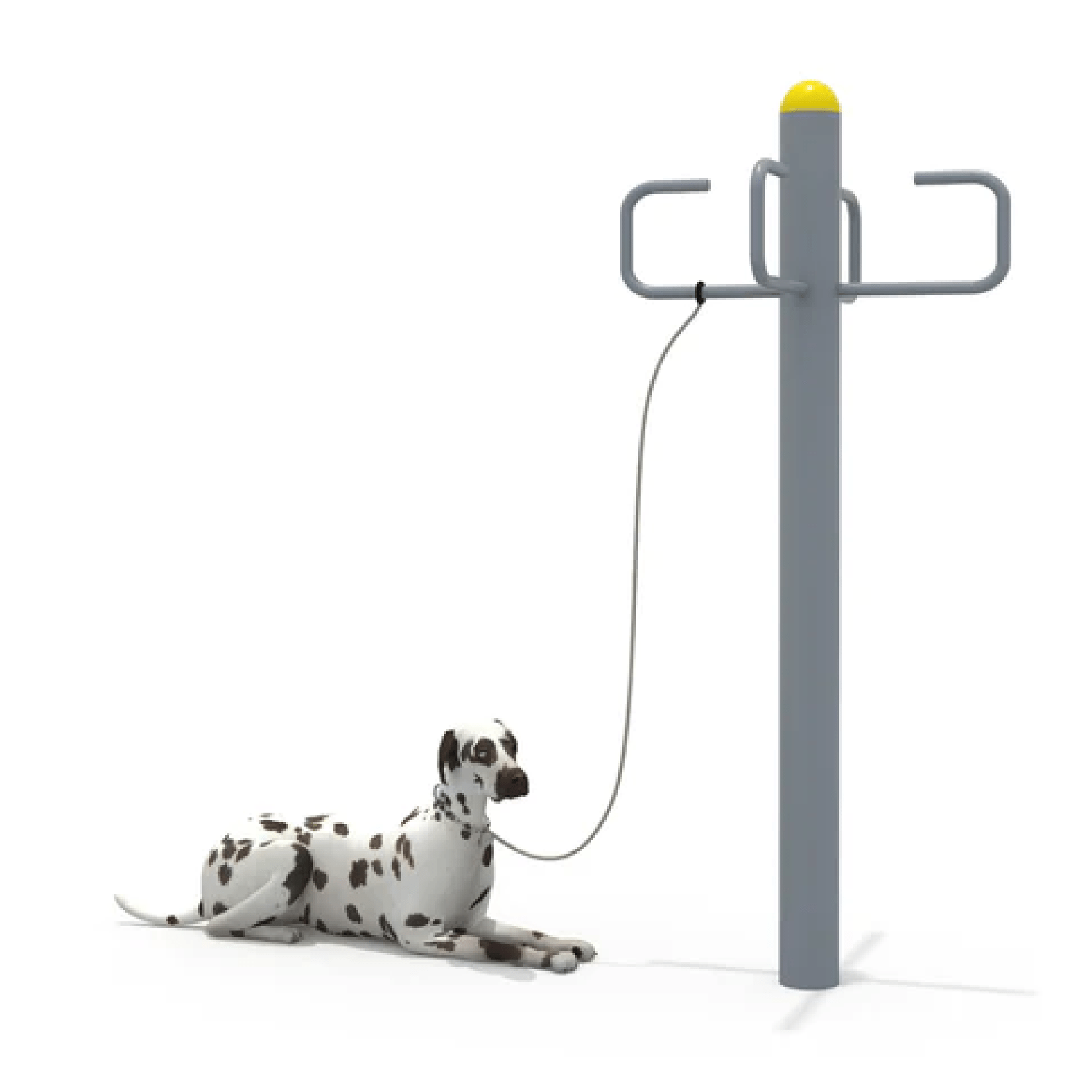 Outdoor top dog leash