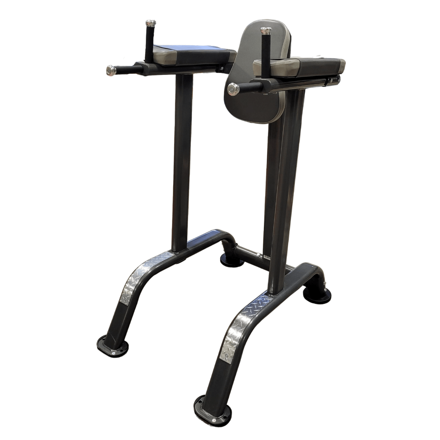 Flaman Fitness Progression 315 Vertical Knee Raise