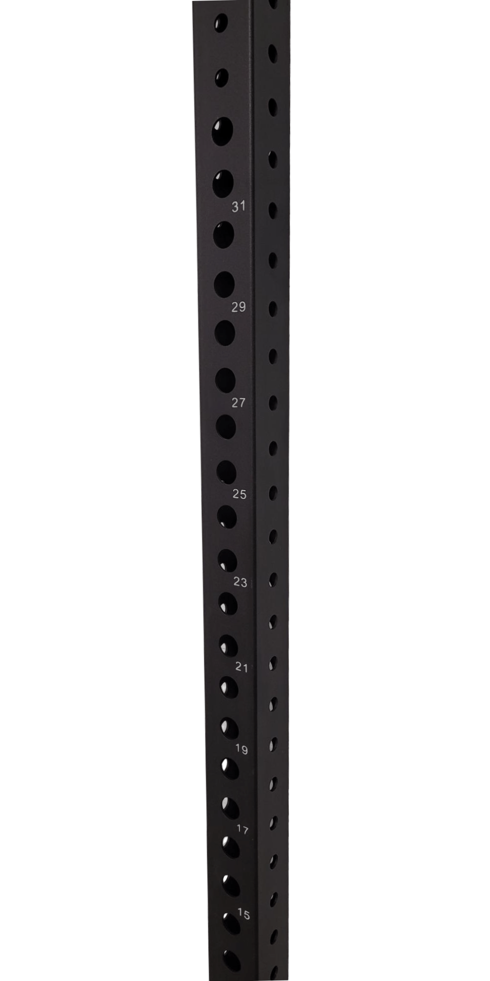 Guard Pos Rig Progression Rig 9 FT Upright Posts | Flaman Fitness