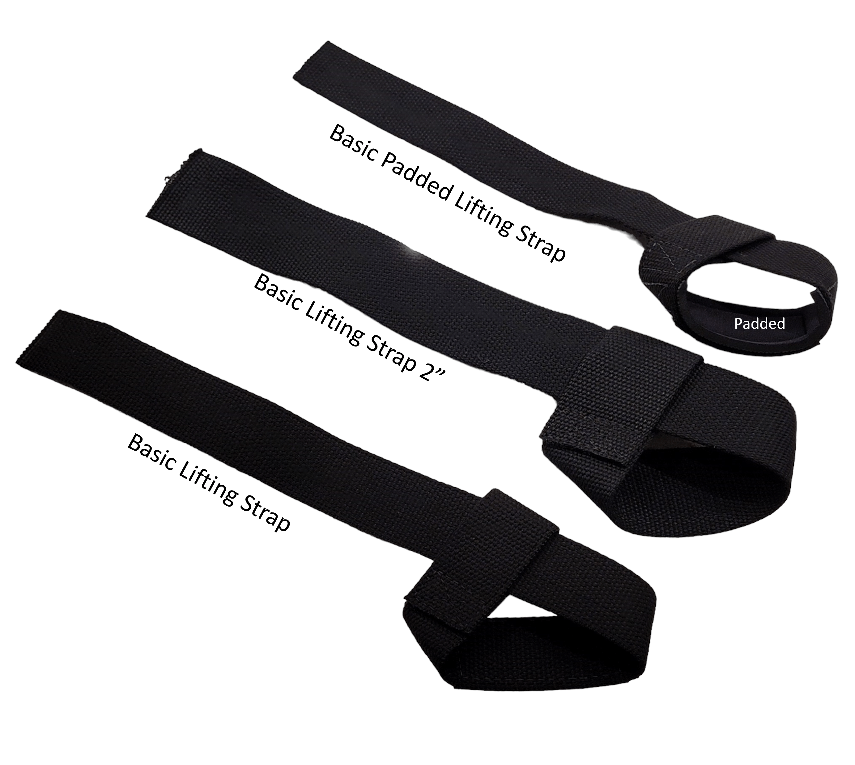 https://flamanfitness.com/cdn/shop/products/schiek-basic-padded-lifting-strap-straps-schiek-sports-exasck1000bps-871692.png?v=1695238930