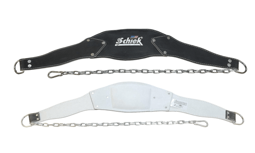 シークディッピングベルト schiek チンニングベルト 荷重ベルト